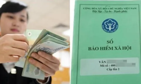 Theo quy định mới 2025: Lao động tự do tham gia BHXH tự nguyện được hưởng nhiều quyền lợi hơn trước