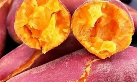 4 nhóm người tuyệt đối nên hạn chế ăn khoai lang, bác sĩ cảnh báo đừng coi thường!