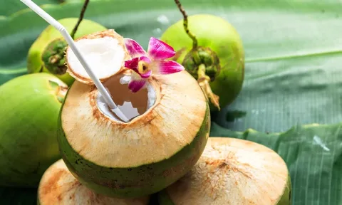 Có nên uống nước dừa hằng ngày không?