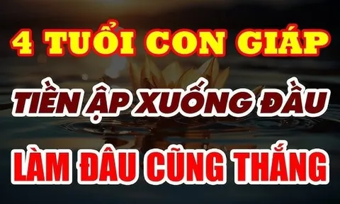 Cung Điền Trạch khai thông, 4 con giáp mua đất mua nhà trước Tết Bính Ngọ