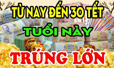 3 con giáp đỏ cả Tiền lẫn Tình từ nay tới 30 Tết Bính Ngọ 2026: 1 tuổi Trúng Số đặc biệt giàu ụ