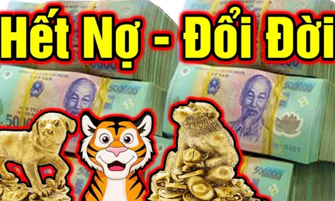 4 con giáp bên ngoài giản dị, bên trong nhiều tiền: 1 tuổi Hết Nợ - Đổi Đời