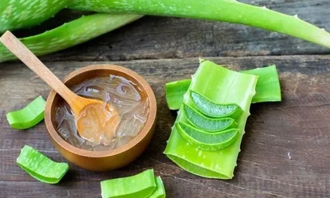 Nha đam – “thần dược” phục hồi và nuôi dưỡng mái tóc khỏe đẹp