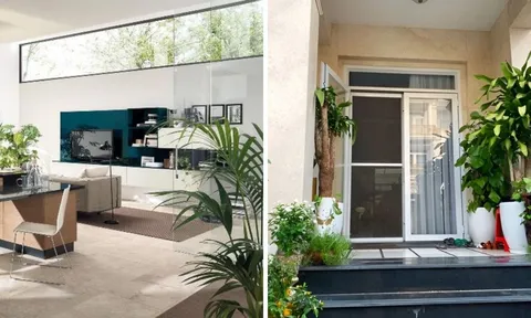 Trong nhà có 3 góc càng sáng càng vượng: Đếm tiền mỏi tay, hũ vàng hũ bạc ngập nhà