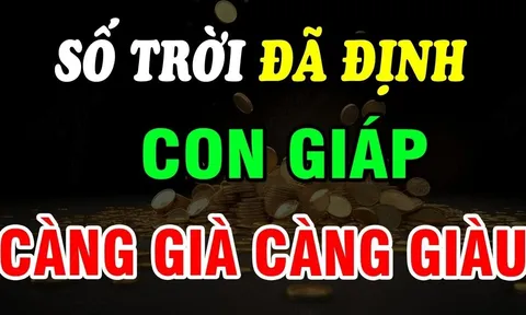 Top 3 con giáp Trẻ Khổ Già Giàu, số trời định  sẵn không cãi được
