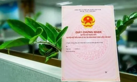 Hàng triệu người được hưởng lợi từ Luật Đất đai mới 2025: Những quyền lợi đặc biệt không thể bỏ lỡ