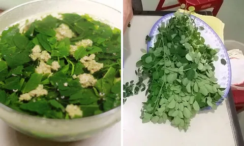 Loại rau chứa canxi gấp 4 lần sữa, vitamin C gấp 7 lần cam: Việt Nam có đầy, nhiều người không biết mà ăn