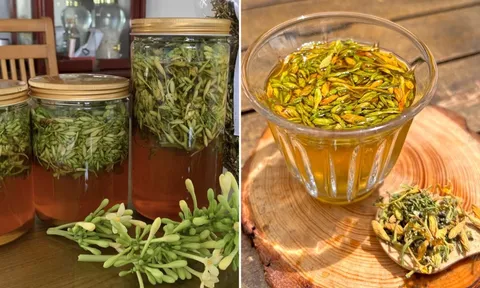 Thời điểm tốt nhất để uống hoa đu đủ đực ngâm mật ong