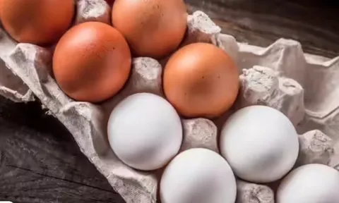 Trứng nâu và trứng trắng: Khác biệt nằm ở đâu, loại nào tốt hơn cho sức khỏe?