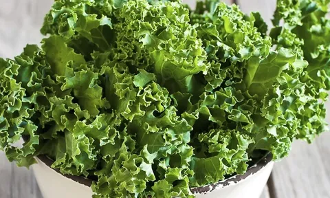 4 loại rau bổ dưỡng giàu canxi tốt cho xương khớp của bạn