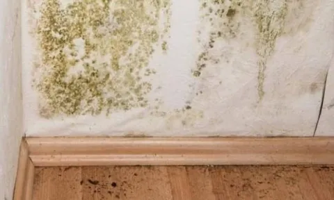 Nhà có 6 dấu hiệu âm khí nặng: Làm ăn mãi không khá, con cái lận đận, phải hóa giải ngay kẻo muộn