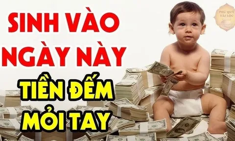 4 ngày sinh Hút Tiền nhanh như chớp, ăn Tết Bính Ngọ 2026 tưng bừng