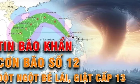 Bão số 12 Fengshen quét Biển Đông: Khả năng mạnh lên Cấp 11 - Giật Cấp 13, cảnh báo tại các tỉnh Trung Bộ