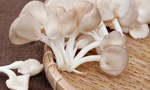 5 thực phẩm màu trắng tốt cho sức khỏe