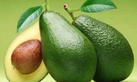 5 thực phẩm "siêu béo" nhưng bất ngờ giúp đốt mỡ, giảm cân hiệu quả