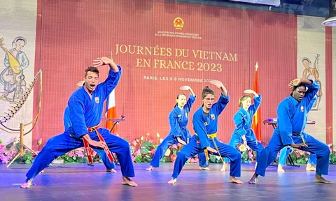 Ngày Việt Nam tại Pháp 2023: Ấn tượng Võ Việt!