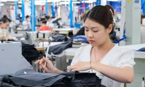 Hơn 1 tháng nữa: Người lao động thất nghiệp được nhận trợ cấp gấp 5 lần lương tối thiểu, cơ hội hưởng quyền lợi
