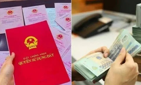 Từ nay đến 31/12/2025: Làm ngay 1 việc với sổ đỏ để tránh mất tiền oan, tiết kiệm hàng trăm triệu đồng!