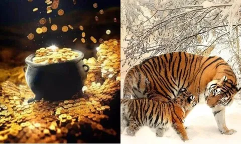 0h Thứ Bảy (25/10): 3 con giáp sau 1 đêm thấy ví nặng trĩu, Chủ Nhật thành ông hoàng thịnh vượng