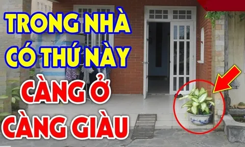 3 dấu hiệu nhà bạn sắp có Hỷ Sự: Càng ở càng giàu có