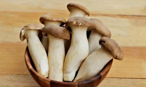 Loại nấm được ví như 'bào ngư chay' tốt cho hệ miễn dịch và tim mạch, bán rộng rãi với giá rẻ bất ngờ