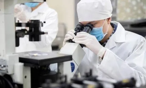 Tin vui: Nhóm đối tượng này sẽ được ưu tiên tuyển dụng vào viên chức, hưởng chế độ đãi ngộ đặc biệt