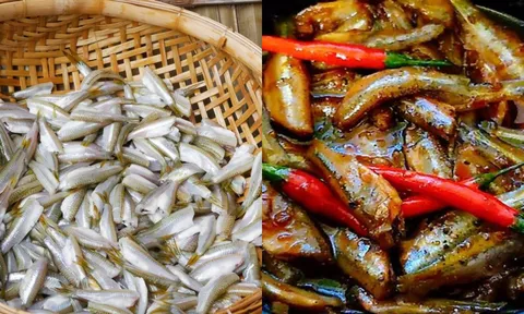 Cá lòng tong, món nhà nghèo một thời, nay thành đặc sản “đắt đỏ” hiếm có ở miền Tây