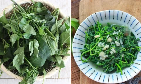 Loại lá nhiều canxi gấp 2 lần ớt, đem nấu canh giúp thanh nhiệt, cực kỳ bổ dưỡng