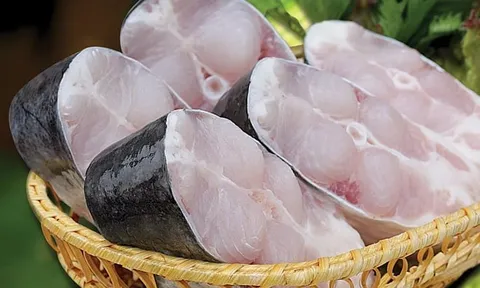 3 loại cá ít xương nhiều thịt, ngon - bổ - rẻ nhất chợ