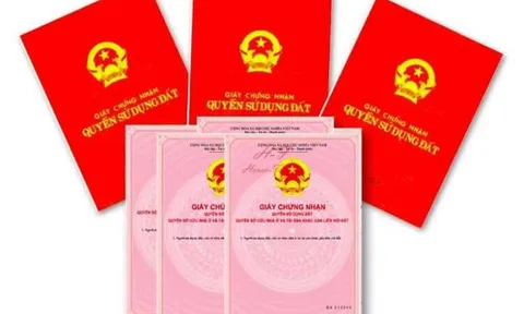 Khi tách sổ đỏ cho con theo quy định mới, bố mẹ cần phải làm gì?