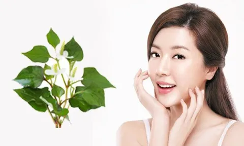Món rau dân dã nhưng lại có khả năng bảo vệ da tự nhiên đáng kinh ngạc