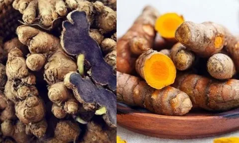 Nghệ đen và nghệ vàng loại nào tốt hơn?