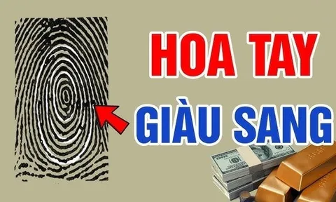 Đếm số hoa tay, ra đúng số này Tiền tiêu không hết, số sướng đến già