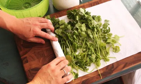 Rau mùi để tủ lạnh dễ hỏng: Làm cách này rau tươi cả tuần không héo, giữ nguyên chất dinh dưỡng