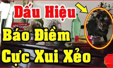 3 dấu hiệu cảnh báo điềm xui xẻo: Nên hóa giải ngay