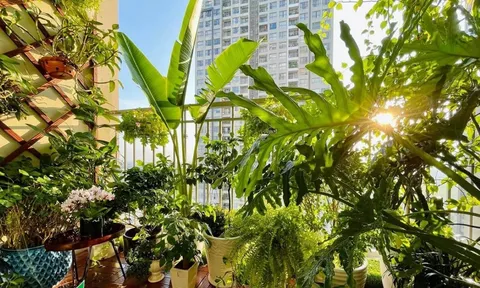 5 thứ không nên để ở ban công, kẻo dễ ảnh hưởng đến tài vận và sự nghiệp của gia chủ