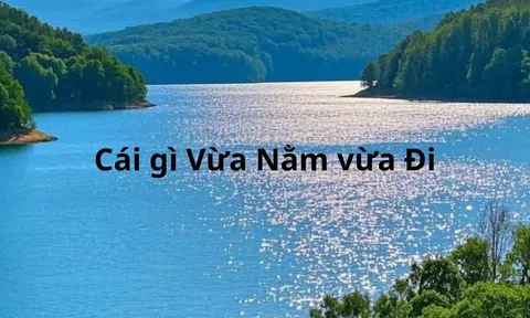 Cái gì vừa nằm vừa đi?
