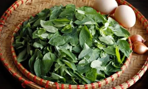 Loại rau quen thuộc trong vườn nhà Việt vượt mặt thịt bò: Giàu sắt bậc nhất, giúp hạ huyết áp, giải độc cơ thể