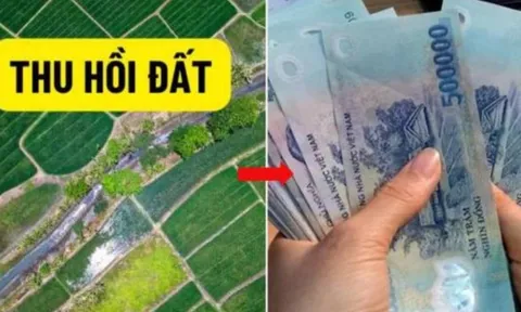 Quy định mới nhất 2025: Cách tính tiền đền bù khi Nhà nước thu hồi đất chi tiết nhất