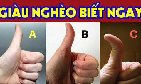 Xem bàn tay Bắt Mệnh giàu - nghèo, sướng - khổ đều rõ cả