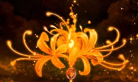 2 tuổi hay Lo Âu khiến cuộc sống Căng Thẳng, 1 tuổi xem nhẹ mọi việc nên cuộc sống như mơ