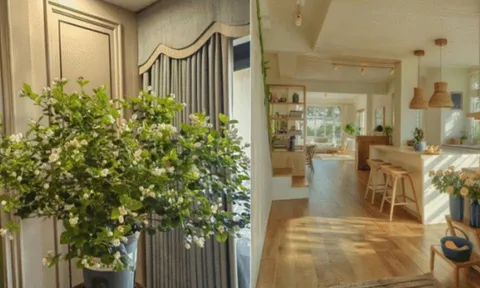 Nhà bị âm khí: 6 dấu hiệu nhận biết & cách hóa giải giúp làm ăn thăng tiến, con cái may mắn