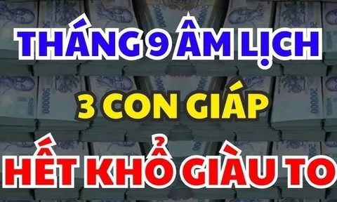 Nửa đầu tháng 11 dương lịch, 3 con giáp Tiền Tự Chui Vào Túi, phú quý bạt ngàn