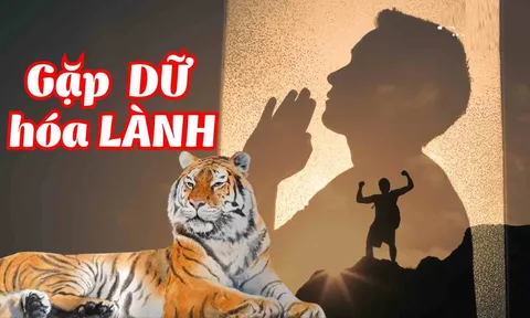 Từ ngày 1/11 đến 11/11, 3 con giáp may mắn Vây Quanh, gặp dữ hóa lành