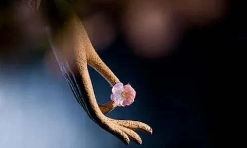 Nếu bạn phỉ báng 4 loại người này, bạn sẽ làm hao tổn phước báu của bản thân nhanh chóng