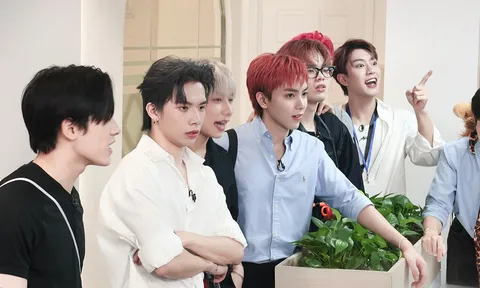 Tập 5 “Tân Binh Toàn Năng”: Khi 11 tân binh hóa thân thành “nhân viên văn phòng”