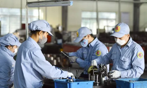 Tin vui cho người lao động: Nhận ngay 1.000.000 đồng/tháng – Là khoản hỗ trợ gì, ai được hưởng?