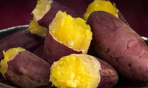 5 người này ăn khoai lang cực hại