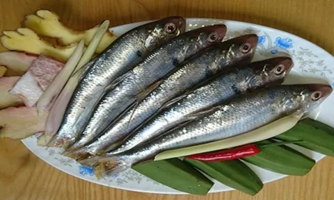 7 loại cá giàu dinh dưỡng, càng ăn càng tăng tuổi thọ