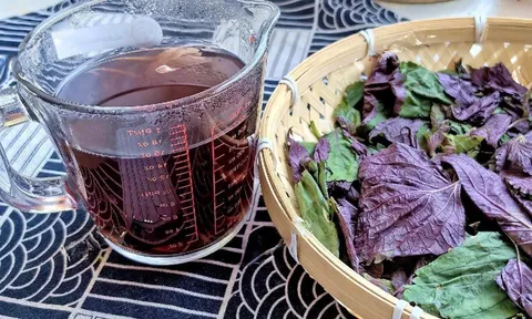 Cách uống nước tía tô đậu đen giảm cân, đẹp da, thải độc gan